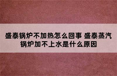 盛泰锅炉不加热怎么回事 盛泰蒸汽锅炉加不上水是什么原因